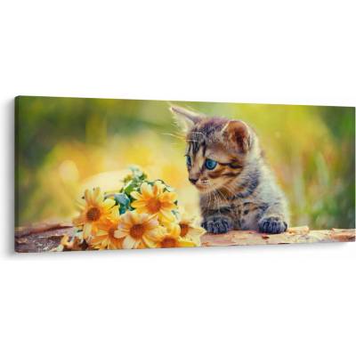Obraz mačiatka pozerajúce sa na kvetinu, jednodielne 120x50 cm