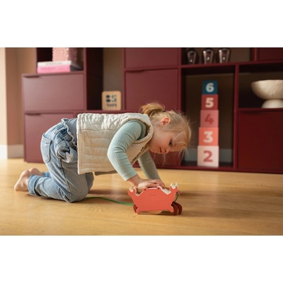 BS Toys tahací veselý krab – Hledejceny.cz