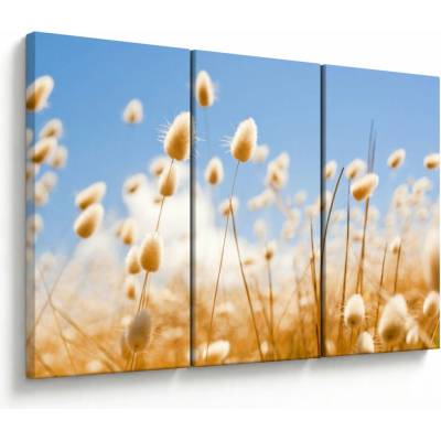 Obraz - Zlaté pole, trojdielne 120x80 cm