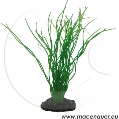 Hobby Sagittaria 20 cm umělá
