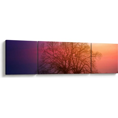 Obraz stromov v hmle, trojdielne 170x50 cm