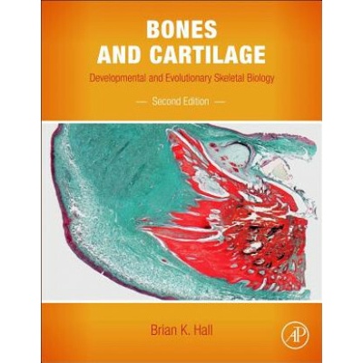 Bones and Cartilage