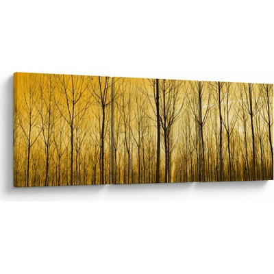 Obraz lesa pri západe slnka, trojdielne 90x30 cm