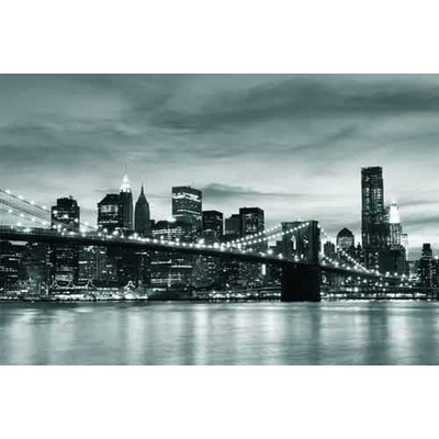 Impol Trade 011VE vliesová fototapeta Brooklyn Bridge 310 cm x 219 cm