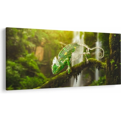 Obraz chameleóna, jednodielne 250x125 cm