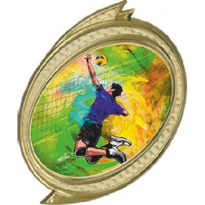 TROFEJE.sk Emblém DISC/VOL