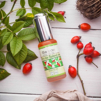 Saloos Extra bio Šípkový olej 20 ml – Hledejceny.cz