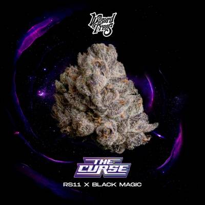 Wizard Trees The Curse semienka neobsahujú THC 3 ks