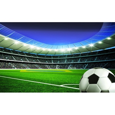 Preinterier FT3512 Fototapeta na stenu Futbalový štadión II vlies 104cm x 70cm