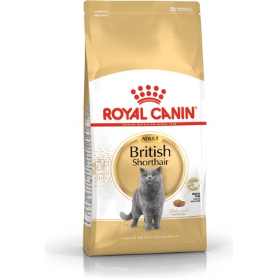 Royal Canin FBN British Shorthair Adult 10 kg – Hledejceny.cz