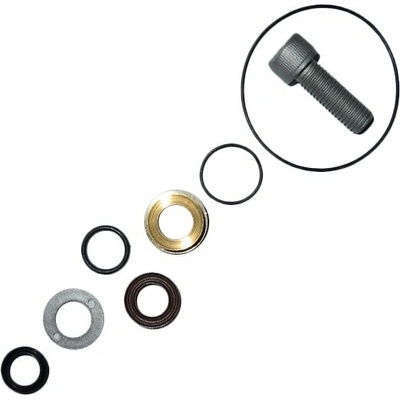 Seals kit DN16 HAWK NHD150 with brass