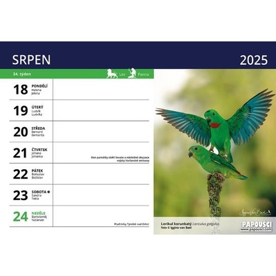 Papoušci týdenní stolní 2025