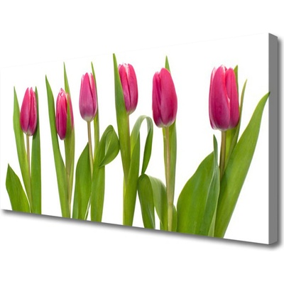 Obraz Canvas Tulipány kvety rastlina 100x50 cm
