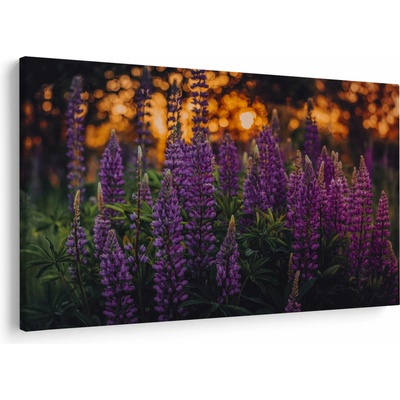 Obraz květů vlčího bobu, jednodílný 120x80 cm