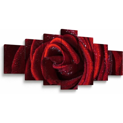 Obraz - Červená ruža s kvapkami rosy, sedemdielne 210x100 cm