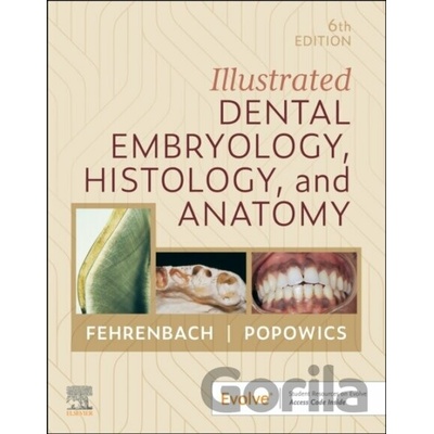 Illustrated Dental Embryology, Histology, and Anatomy - Margaret J. Fehrenbach, Tracy Popowics