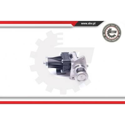 AGR-Ventil ESEN SKV 14SKV159