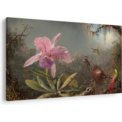 Obraz - Martin Johnson Heade, Cattleya Orchid and Three Hummingbirds, reprodukcia, jednodielne 150x100 cm