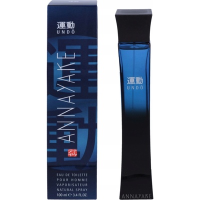 Annayake Undo toaletní voda pánská 100 ml
