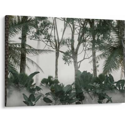 Obraz - Jungle v rannej hmle, jednodielne 100x70 cm