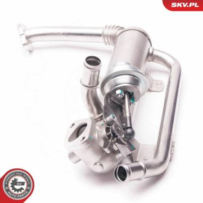 AGR - Ventil ESEN SKV 14SKV118