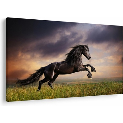 Obraz - Kone, jednodielne 150x100 cm