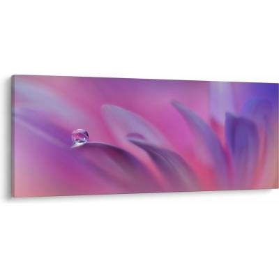 Obraz - Kvapka na kvete, jednodielne 120x50 cm