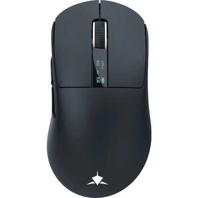 White Shark GAWAIN Black WH0383