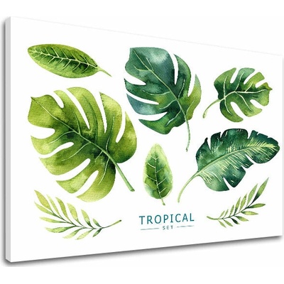 Obraz na stenu s textom Tropical set - 60x90 cm