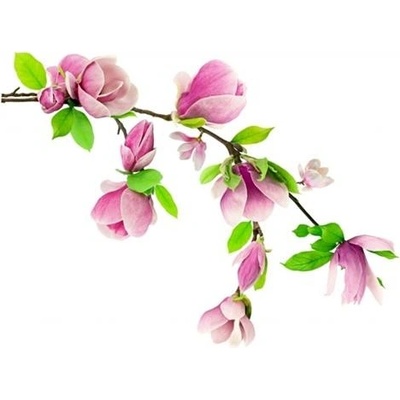 IMPOL TRADE DS 410-10 Samolepky na zeď květy na větvi růžové rozměr 87 cm x 110 cm
