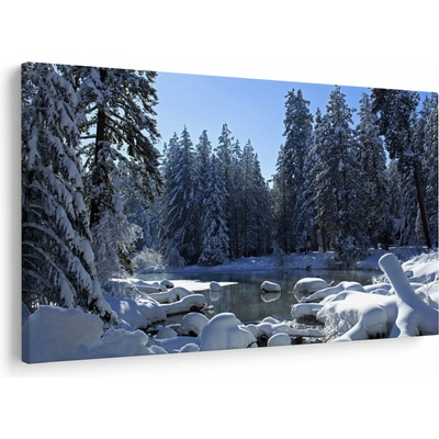 Obraz zasněženého lesa, jednodílný 120x80 cm