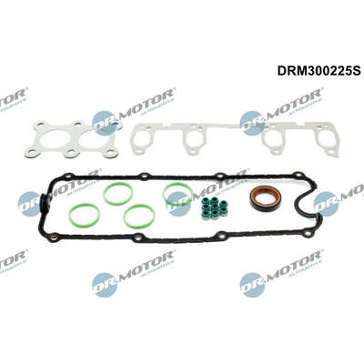 DR.MOTOR AUTOMOTIVE Sada tesnení, Hlava valcov DRM300225S