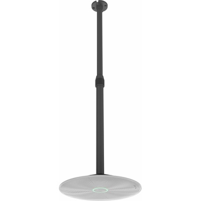 Yealink CM20