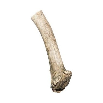 Sirius MP Pochoutka paroží Daněk 100-140 g