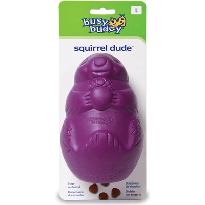 Busy Buddy Squirrel Dude S