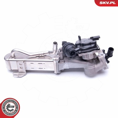 AGR-Ventil ESEN SKV 14SKV158