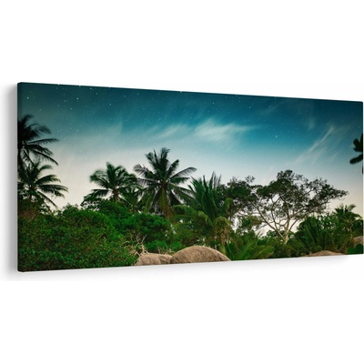 Obraz - palmy, jednodielne 250x125 cm