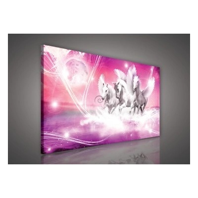 Obraz na plátne obdĺžník - OB0146 - Pegas 100cm x 75cm - O1