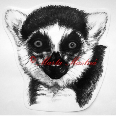Samolepka lemur kata - archiv c463 - Malá - přibližně jako pohlednice – Hledejceny.cz