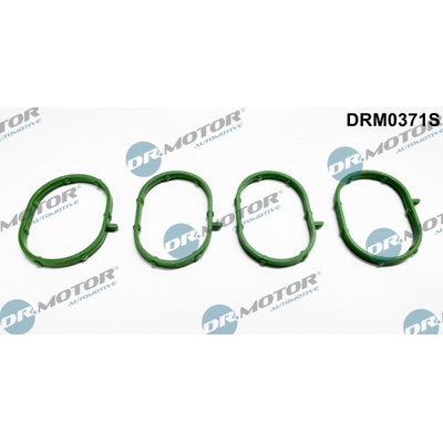DR.MOTOR AUTOMOTIVE Sada tesnení kolena nasávacieho potrubia DRM0371S