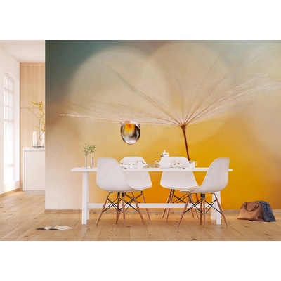 AG design FTNXXL-3020 vliesová fototapeta Morning Drop rozměry 360 x 270 cm
