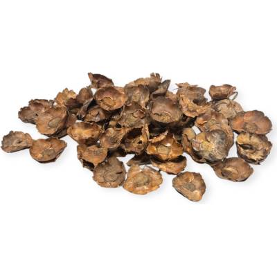 Kokosové kvety Palm Cup 5cm 400g - prírodné
