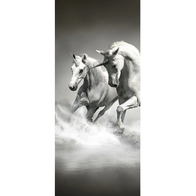 Preinterier Fototapeta - DV0188 - Jednorožce Samolep. fólia - 91cm x 211cm