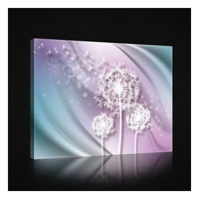 Obraz na plátne obdĺžník - OB0983 - Púpava 80cm x 60cm - O6