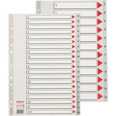 Farebné registre, šedá, A4 Maxi, plast, AZ, ESSELTE