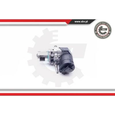 AGR-Ventil ESEN SKV 14SKV169