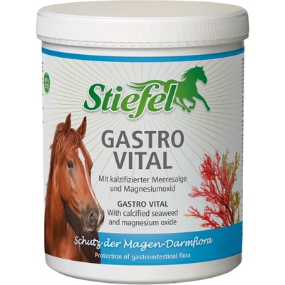 Stiefel Gastro Vital 1 kg