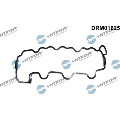 DR.MOTOR AUTOMOTIVE Tesnenie veka hlavy valcov DRM01625