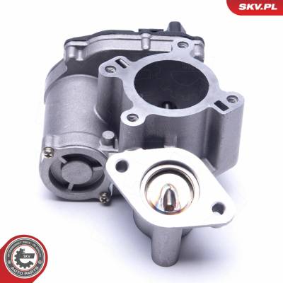 AGR-Ventil ESEN SKV 14SKV184