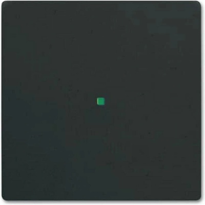 Busch-Jaeger 2CKA006220A0498